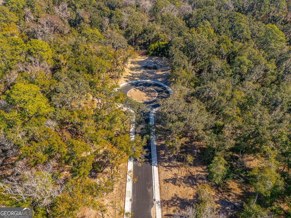 138 Canopy LN St. Simons, GA 31522