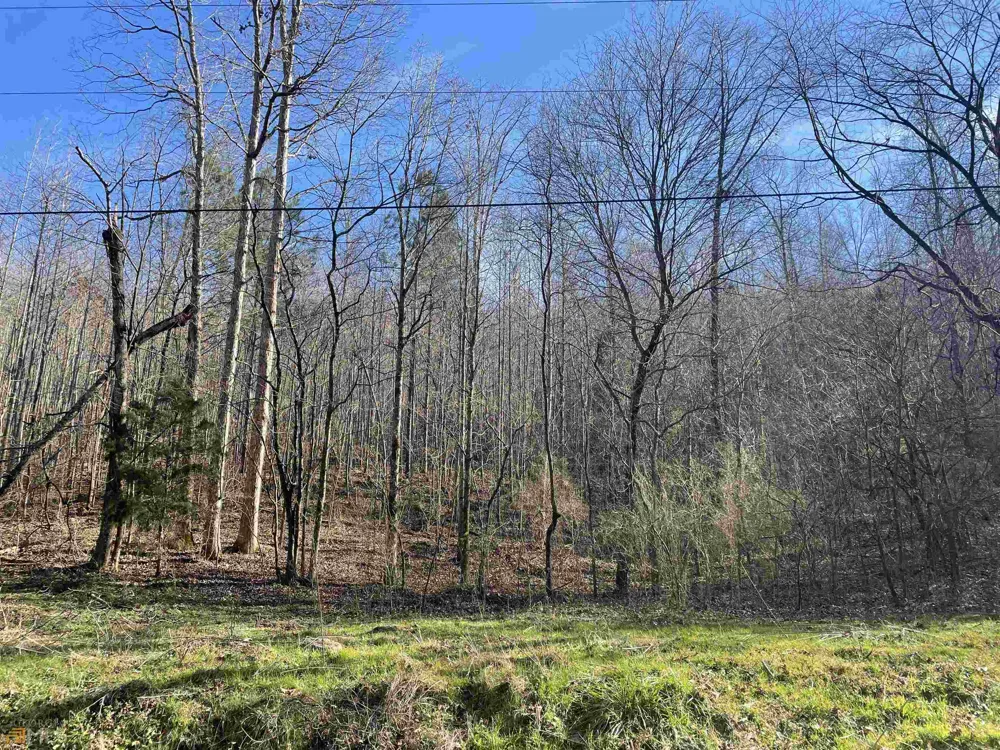 0 Rockfence RD Adairsville, GA 30103