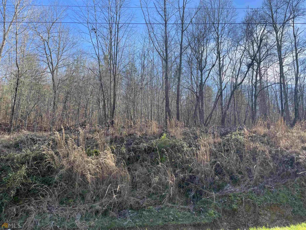0 Rockfence RD Adairsville, GA 30103