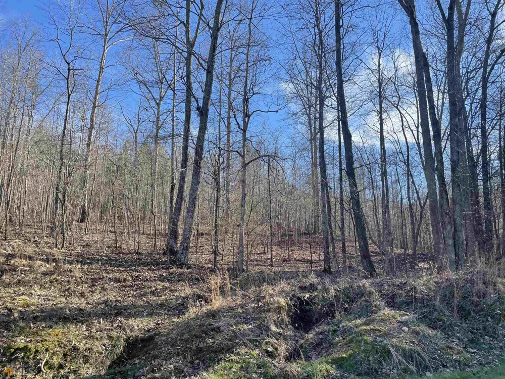 0 Rockfence RD Adairsville, GA 30103