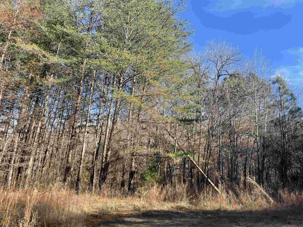 0 Rockfence RD Adairsville, GA 30103