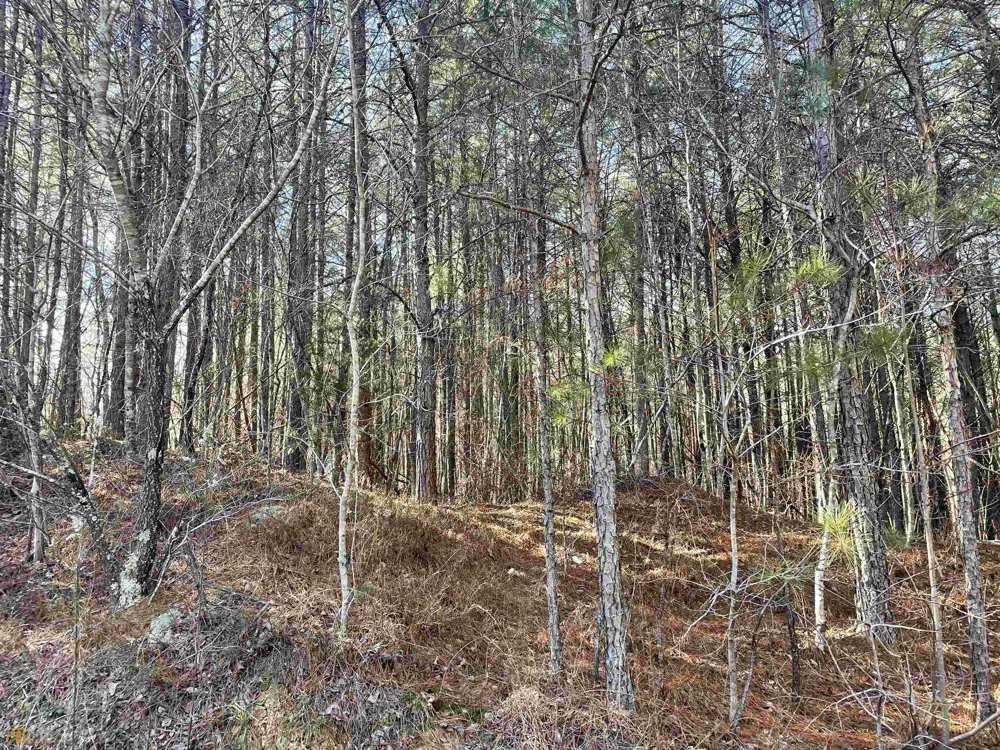 0 Rockfence RD Adairsville, GA 30103