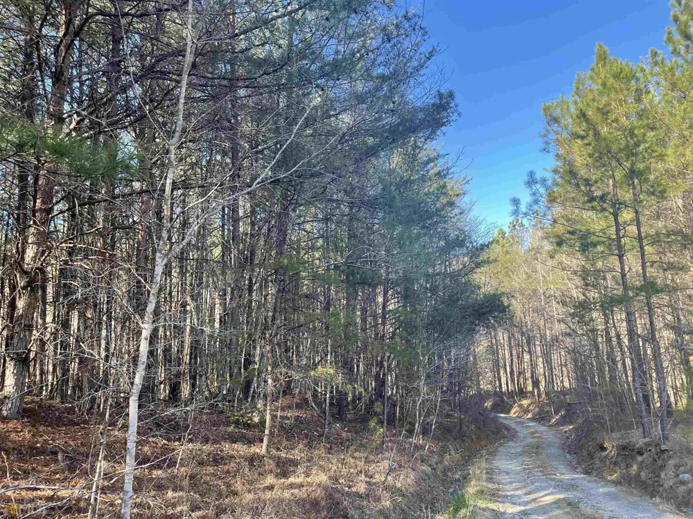 0 Rockfence RD Adairsville, GA 30103