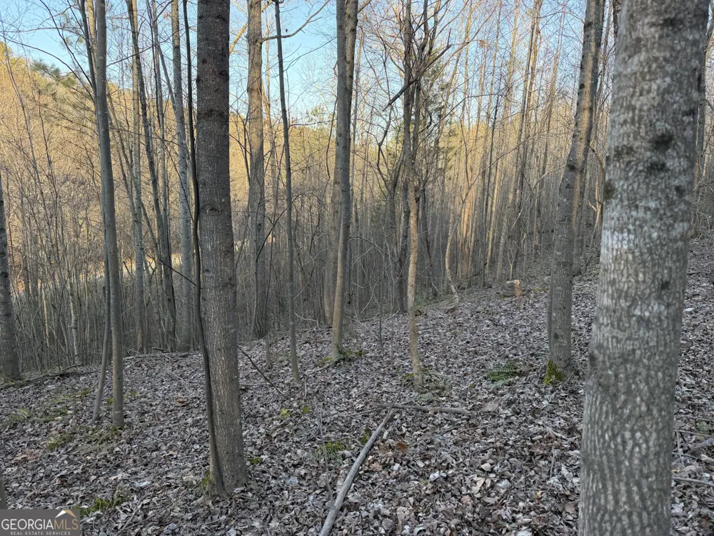 0 Rockfence RD Adairsville, GA 30103