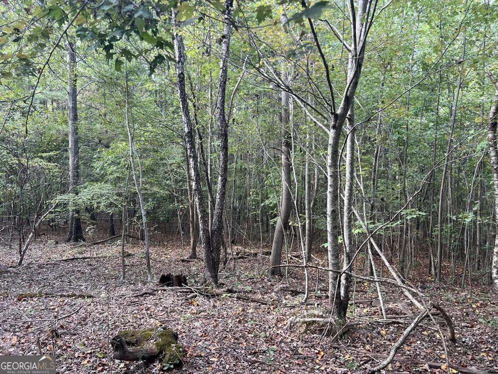0 Rockfence RD Adairsville, GA 30103