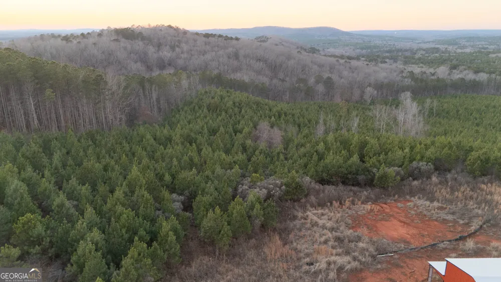 723 Brown Creek RD Shiloh, GA 31826
