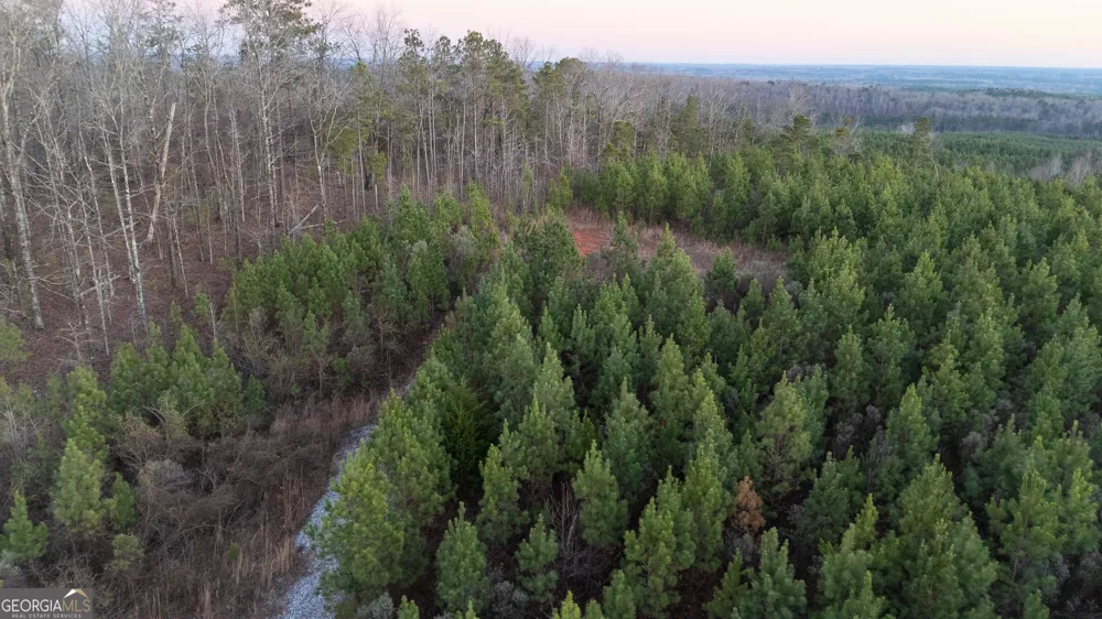 723 Brown Creek RD Shiloh, GA 31826