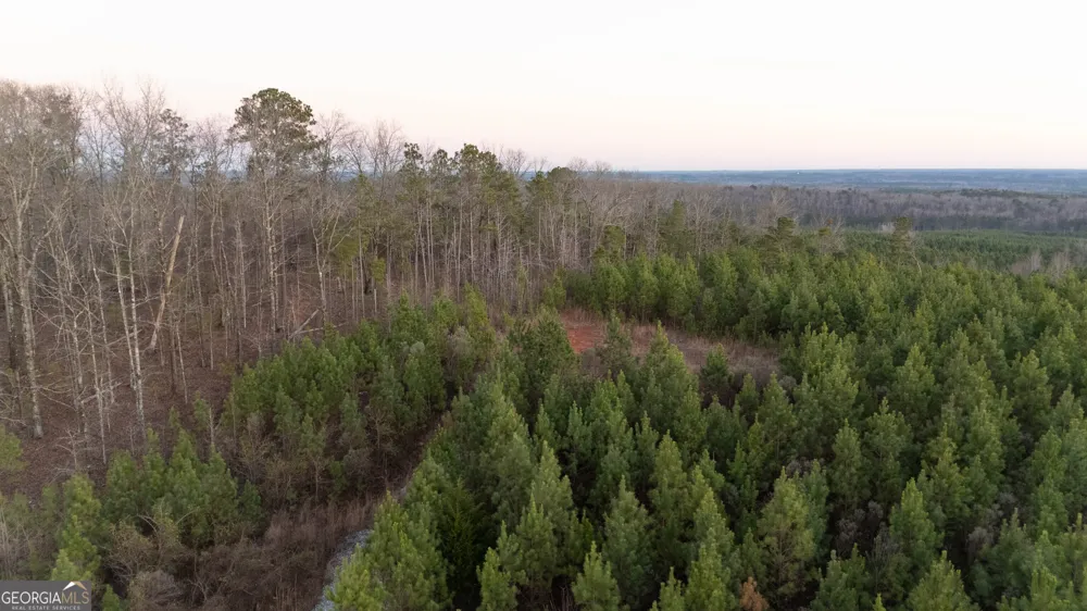 723 Brown Creek RD Shiloh, GA 31826