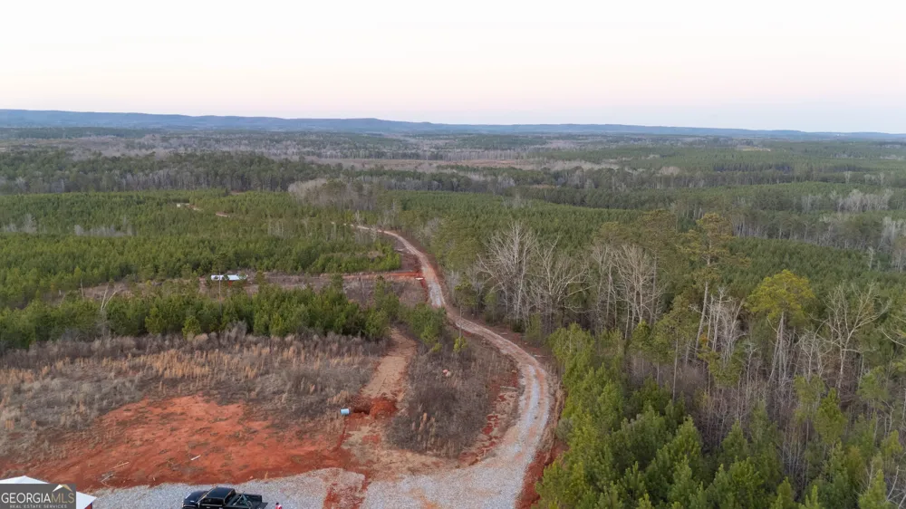 723 Brown Creek RD Shiloh, GA 31826