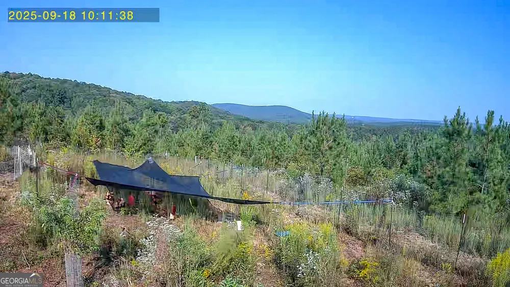 723 Brown Creek RD Shiloh, GA 31826