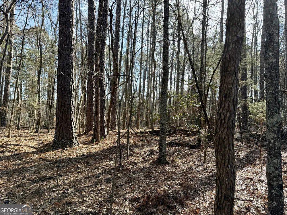0 Neely RD Sharpsburg, GA 30277
