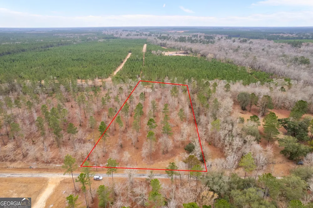 TRACT 1 Loggan LN Jesup, GA 31546