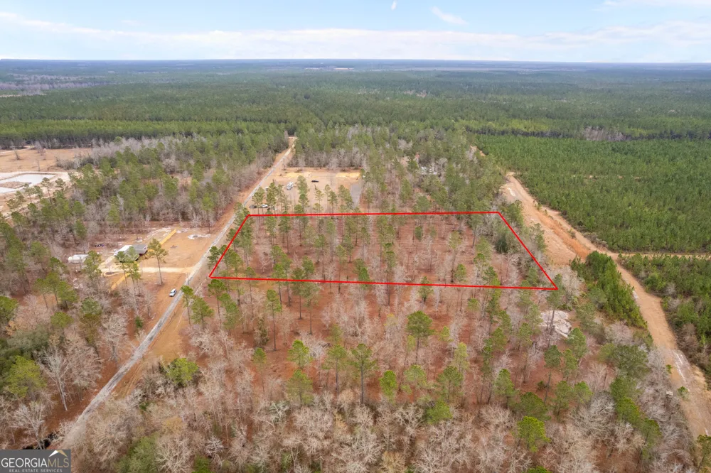 TRACT 2 Loggan LN Jesup, GA 31546