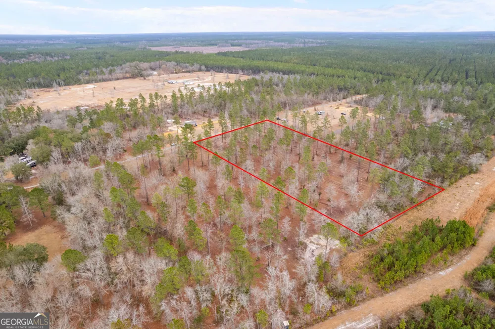 TRACT 2 Loggan LN Jesup, GA 31546