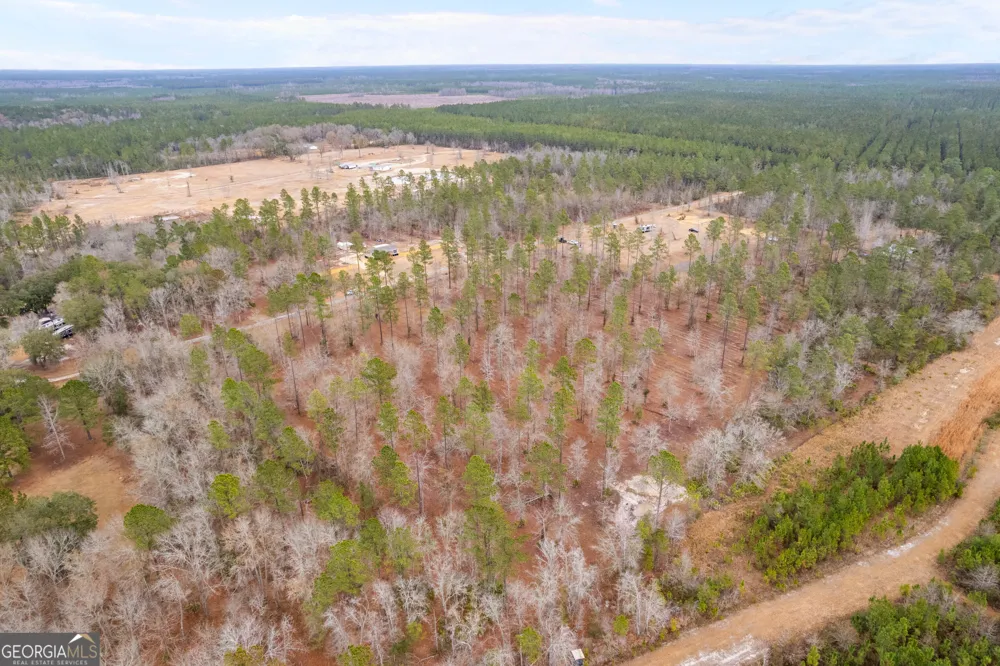 TRACT 2 Loggan LN Jesup, GA 31546