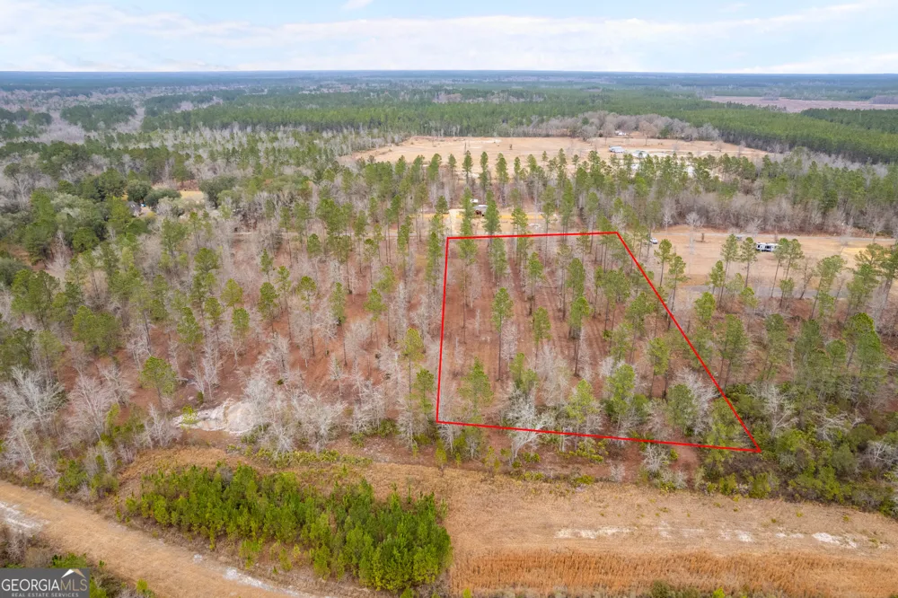 TRACT 2 Loggan LN Jesup, GA 31546