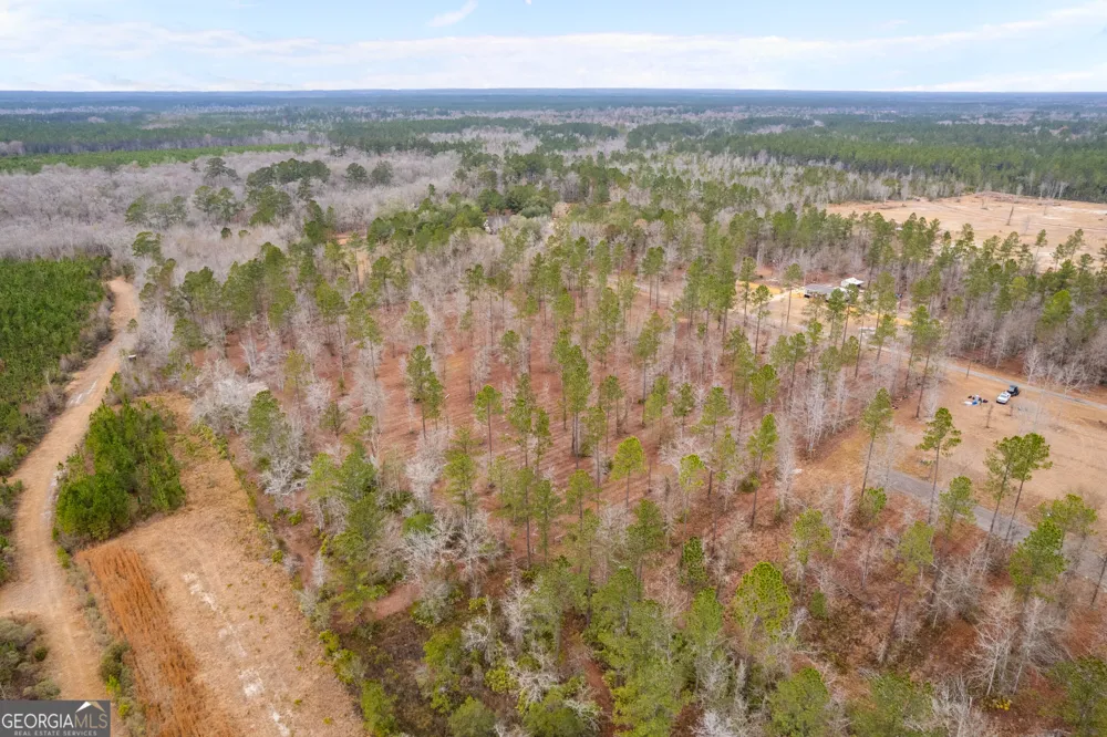 TRACT 2 Loggan LN Jesup, GA 31546