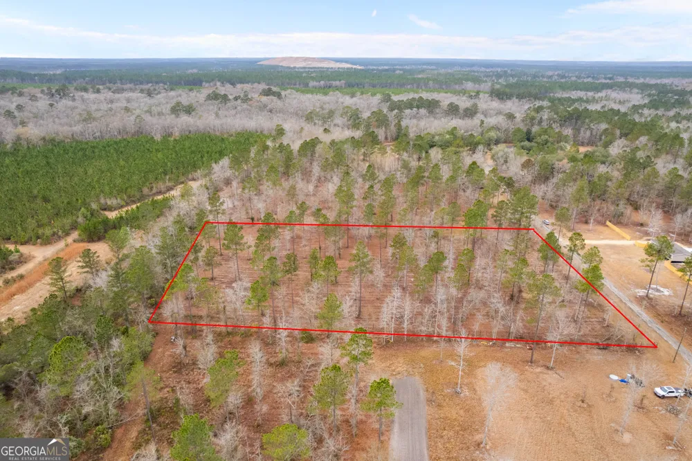 TRACT 2 Loggan LN Jesup, GA 31546