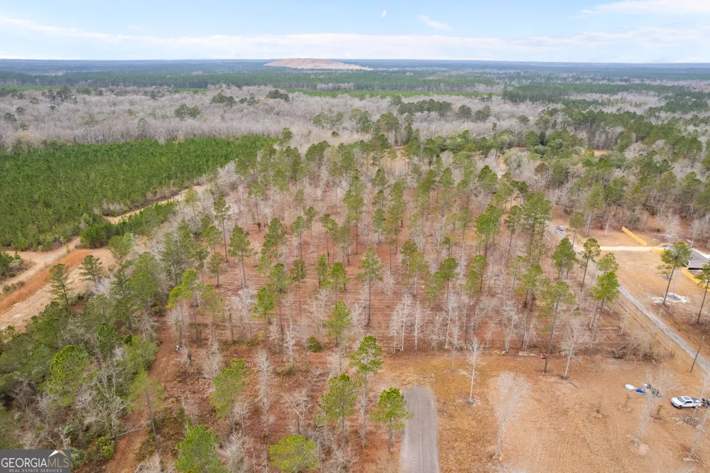 TRACT 2 Loggan LN Jesup, GA 31546