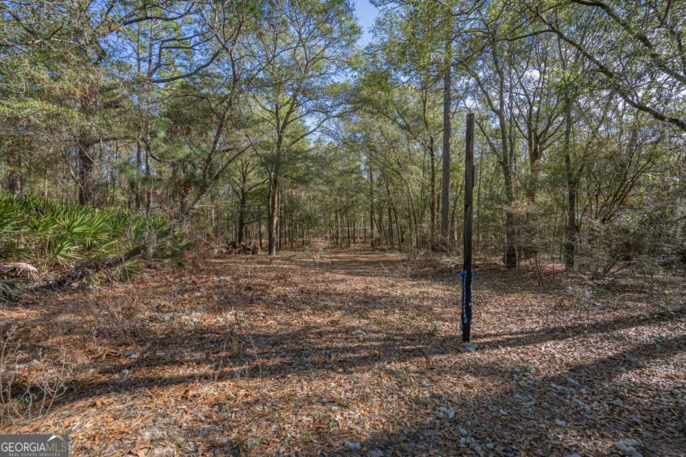 164 Holly DR Eden, GA 31307