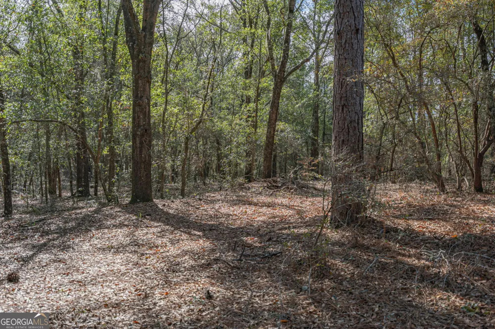 164 Holly DR Eden, GA 31307