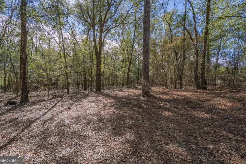 164 Holly DR Eden, GA 31307