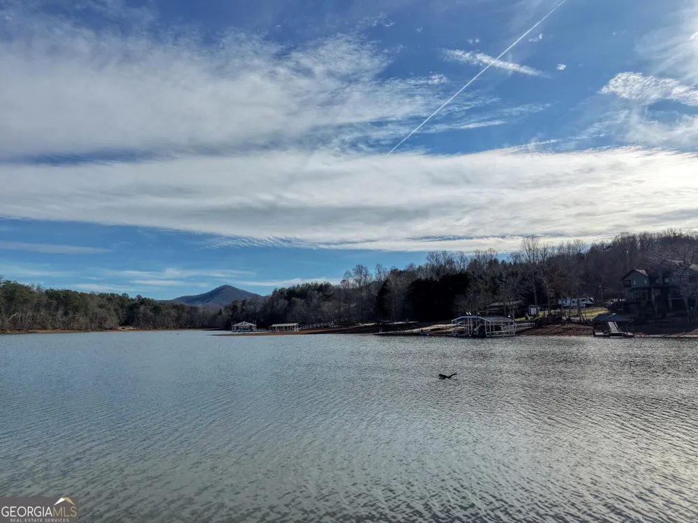41 Hidden Fields RD Hiawassee, GA 30546