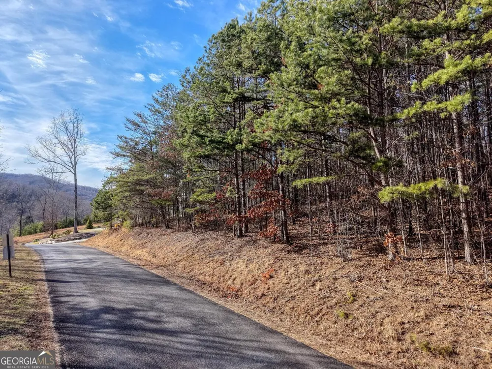 41 Hidden Fields RD Hiawassee, GA 30546