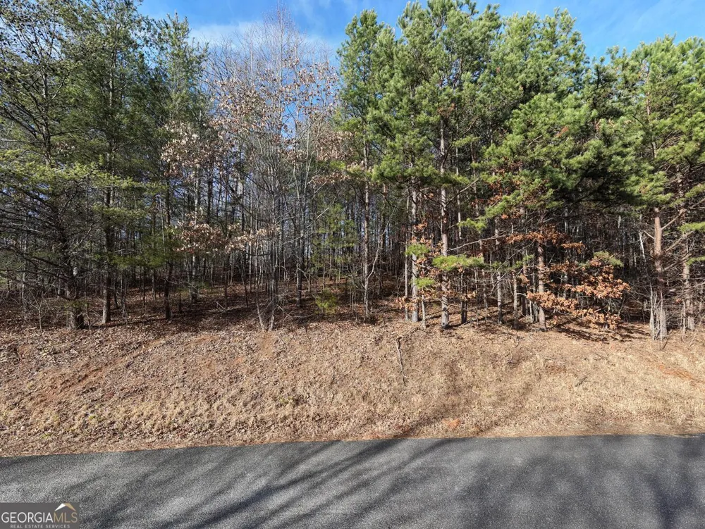 41 Hidden Fields RD Hiawassee, GA 30546