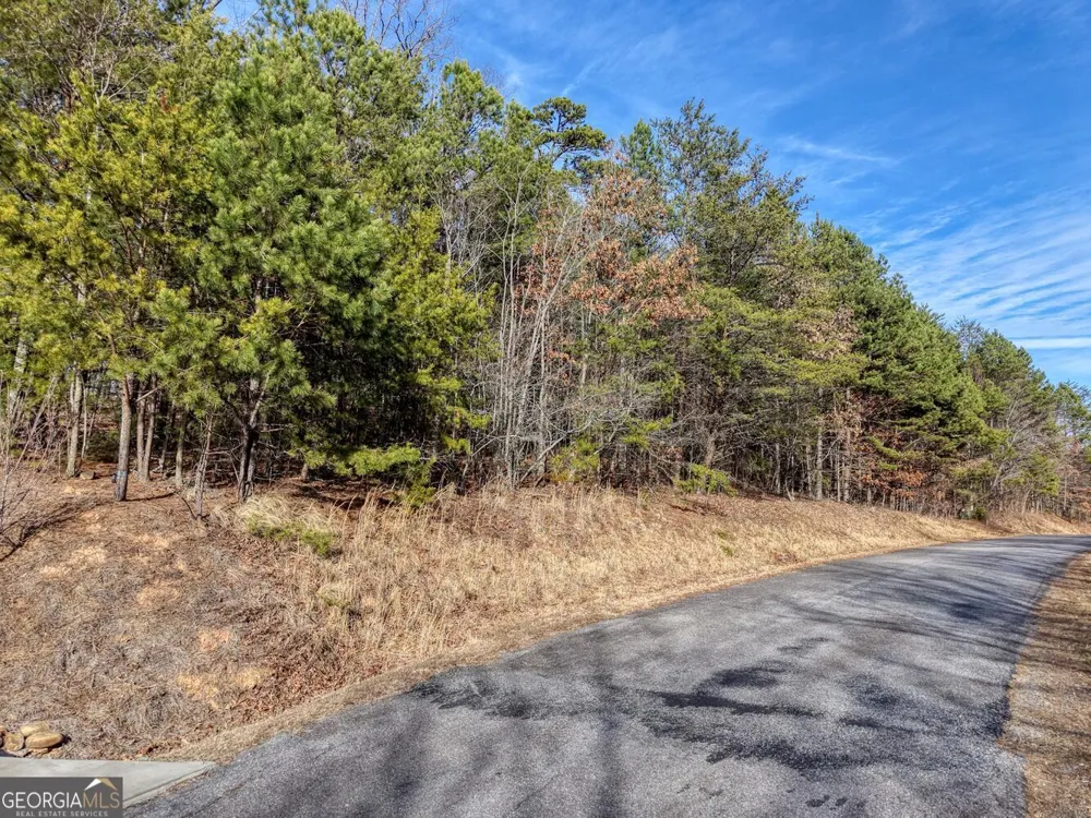 41 Hidden Fields RD Hiawassee, GA 30546