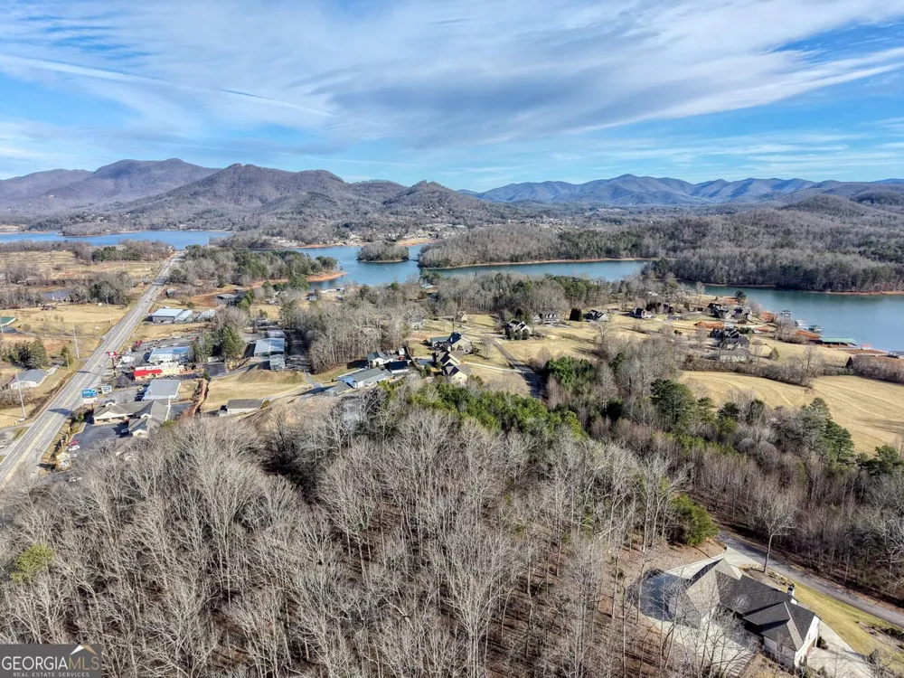 41 Hidden Fields RD Hiawassee, GA 30546