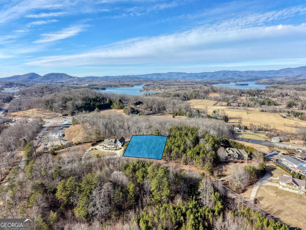 41 Hidden Fields RD Hiawassee, GA 30546