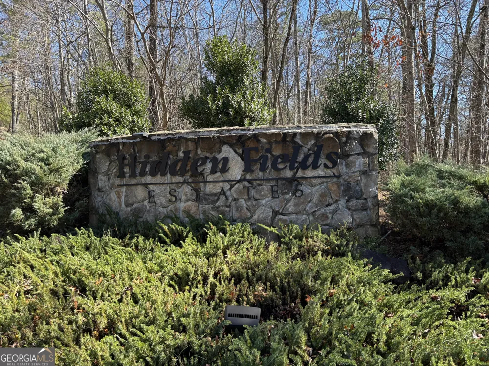 41 Hidden Fields RD Hiawassee, GA 30546