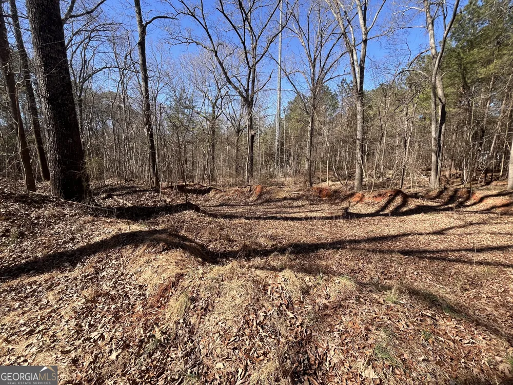55 Key RD Ellenwood, GA 30294