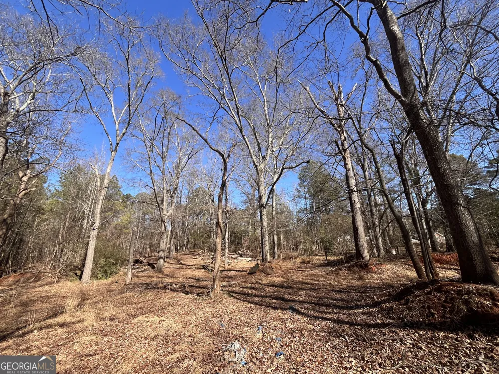 55 Key RD Ellenwood, GA 30294