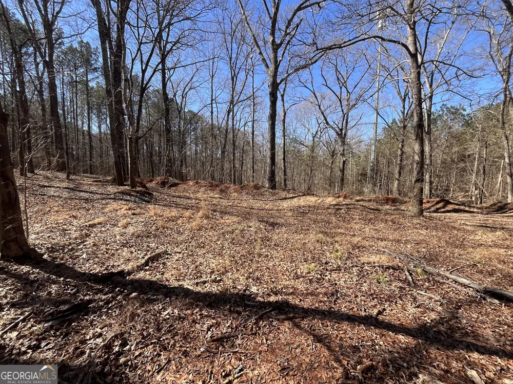 55 Key RD Ellenwood, GA 30294