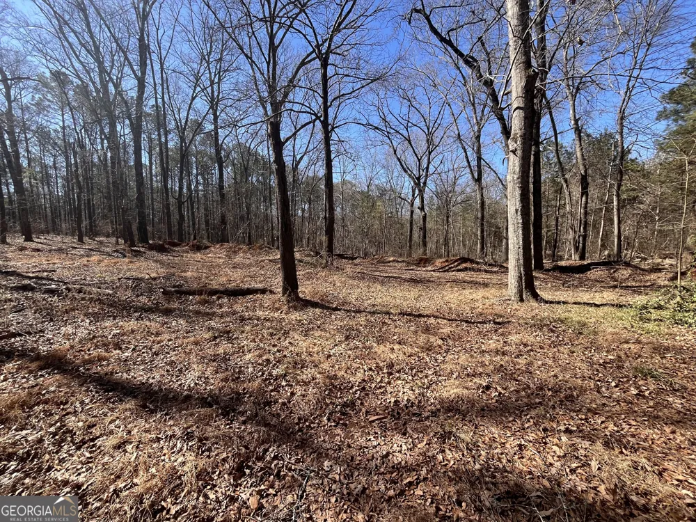 55 Key RD Ellenwood, GA 30294