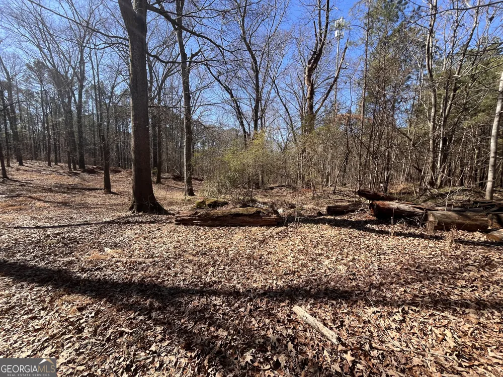55 Key RD Ellenwood, GA 30294