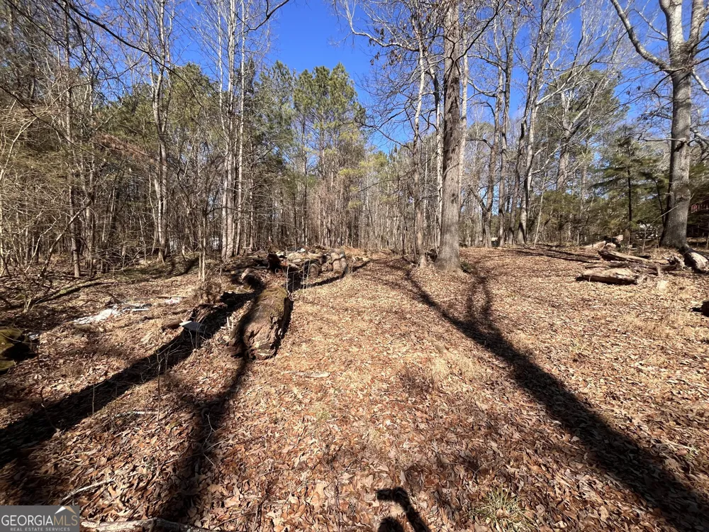 55 Key RD Ellenwood, GA 30294