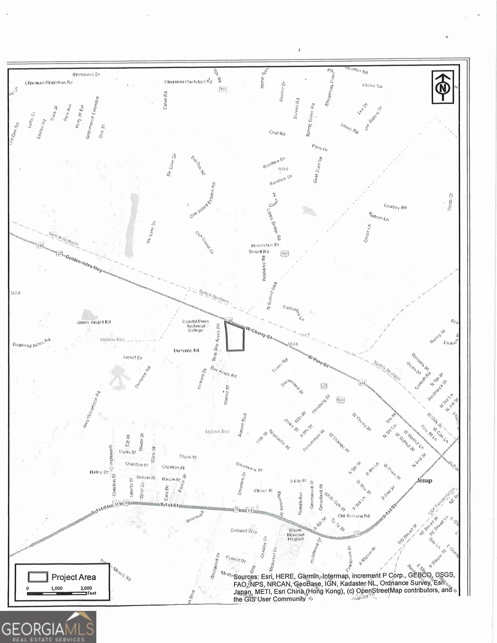 0 S Ga Hwy 341 Jesup, GA 31545