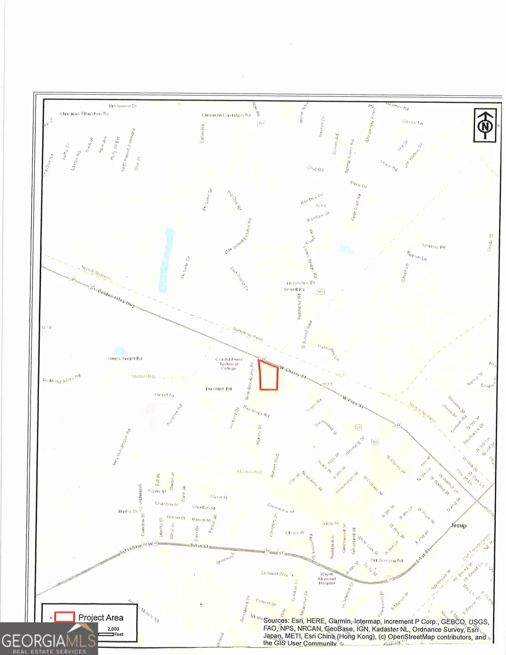 0 S Ga Hwy 341 Jesup, GA 31545