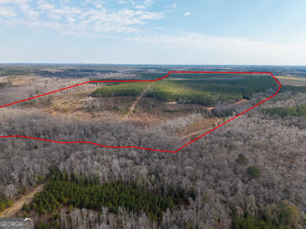 2729 Hadden Pond RD Avera, GA 30803