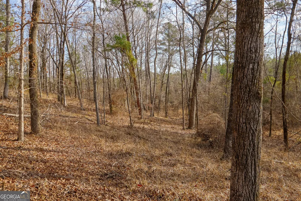 2729 Hadden Pond RD Avera, GA 30803