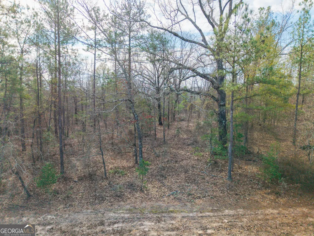 2729 Hadden Pond RD Avera, GA 30803