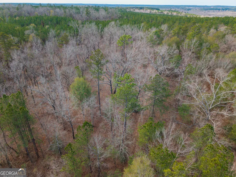 2729 Hadden Pond RD Avera, GA 30803