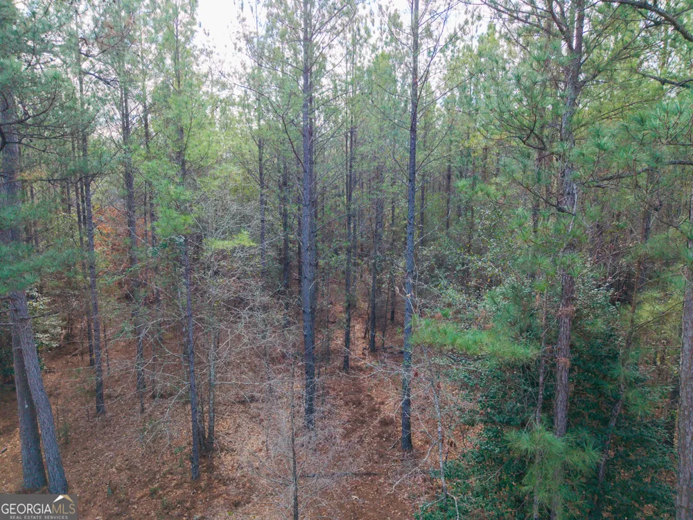 2729 Hadden Pond RD Avera, GA 30803