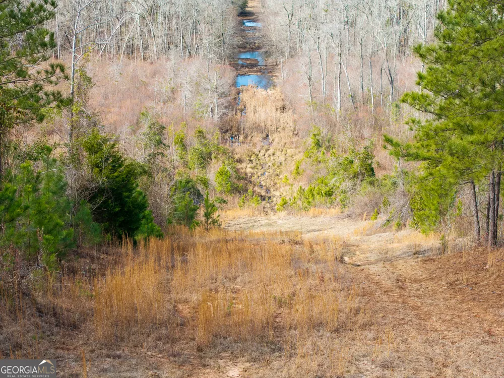 2729 Hadden Pond RD Avera, GA 30803