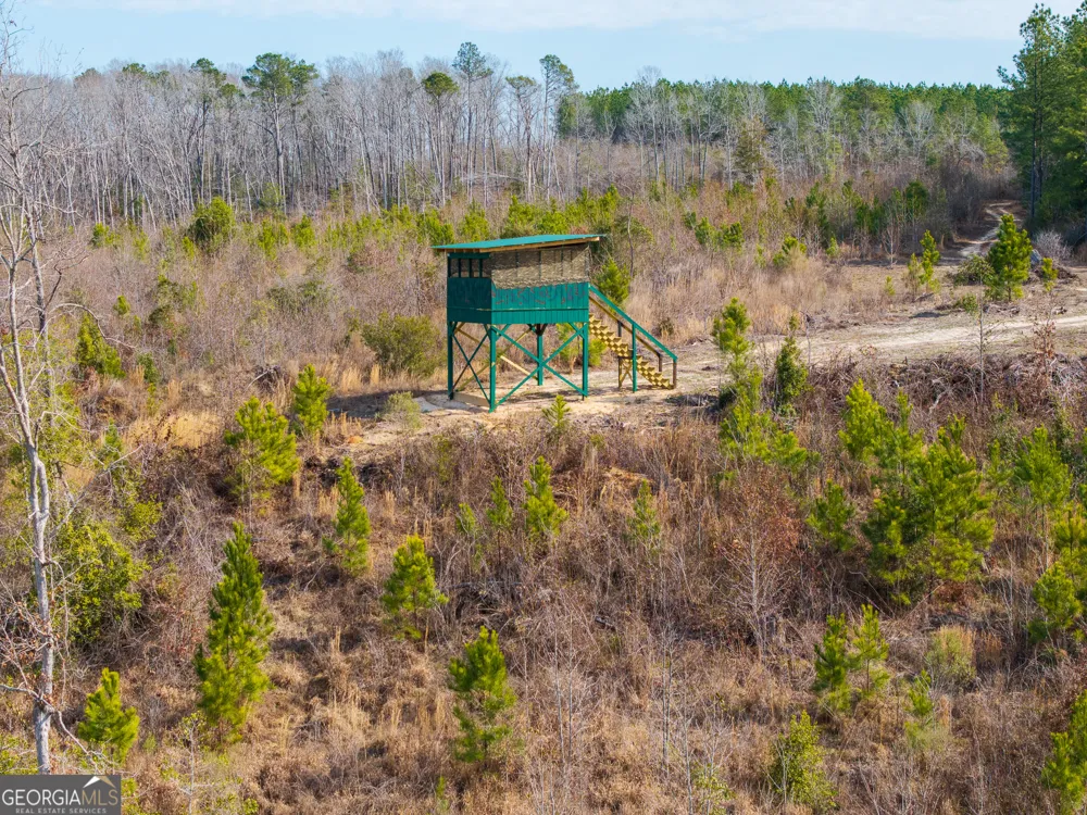 2729 Hadden Pond RD Avera, GA 30803