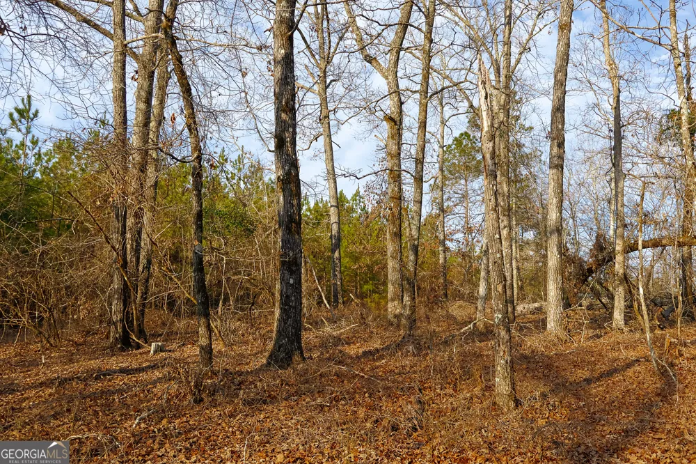 2729 Hadden Pond RD Avera, GA 30803