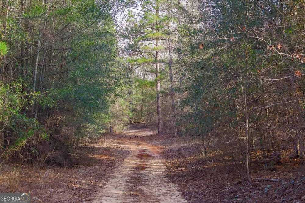 2729 Hadden Pond RD Avera, GA 30803